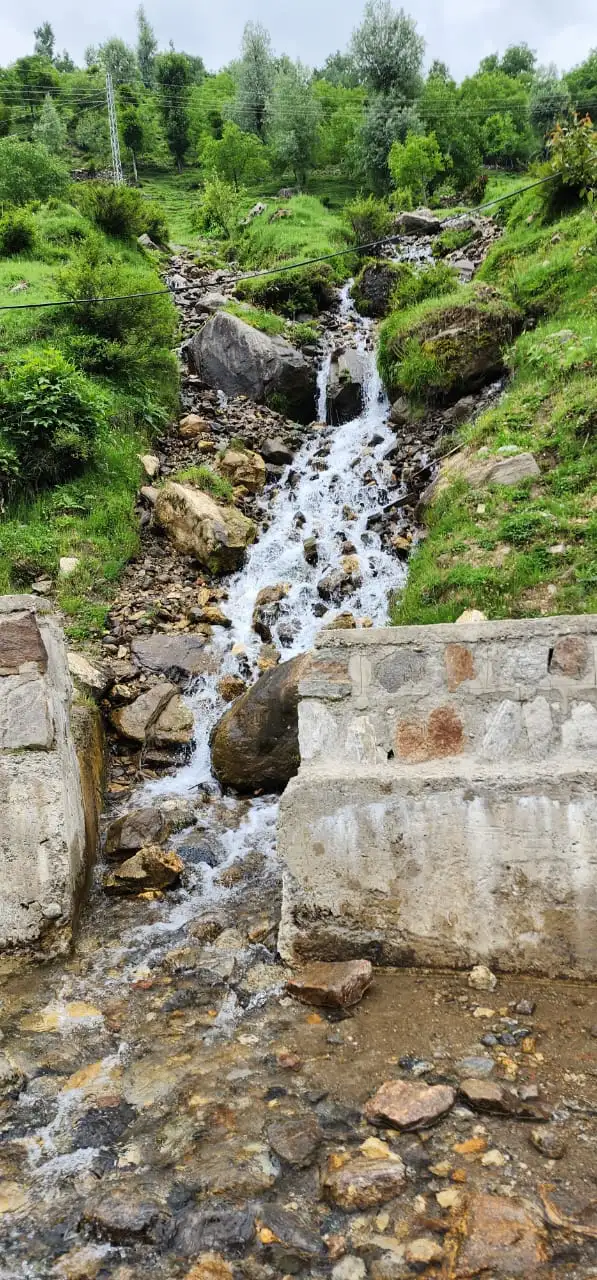 Image Missing